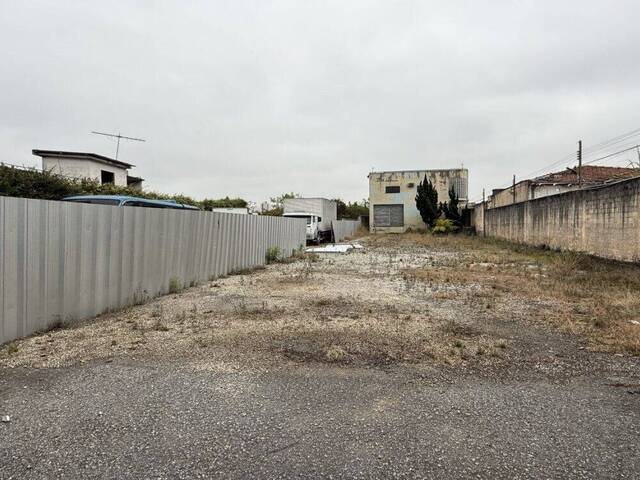 #51 - Sala para Locação em São Paulo - SP - 3